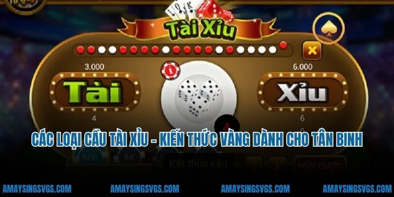 Các Loại Cầu Tài Xỉu - Kiến Thức Vàng Dành Cho Tân Binh